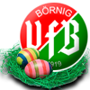 VfB Börnig 1919 e.V.
